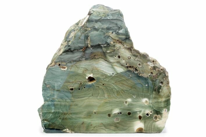 Freestanding Gary Green Jasper (Larsonite) Bog Wood - Oregon #377813